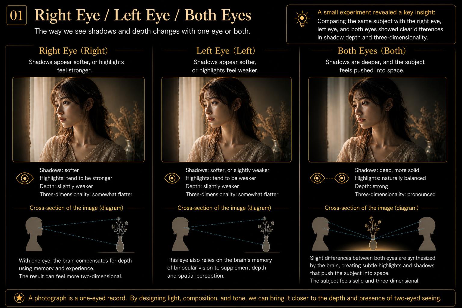 Right Eye, Left Eye, and Both Eyes comparison diagram