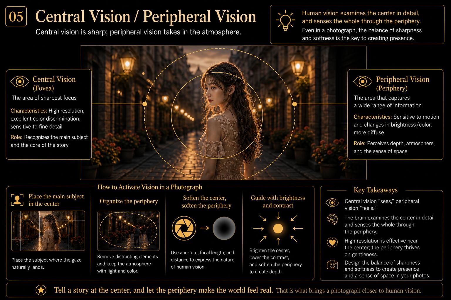Central Vision and Peripheral Vision diagram